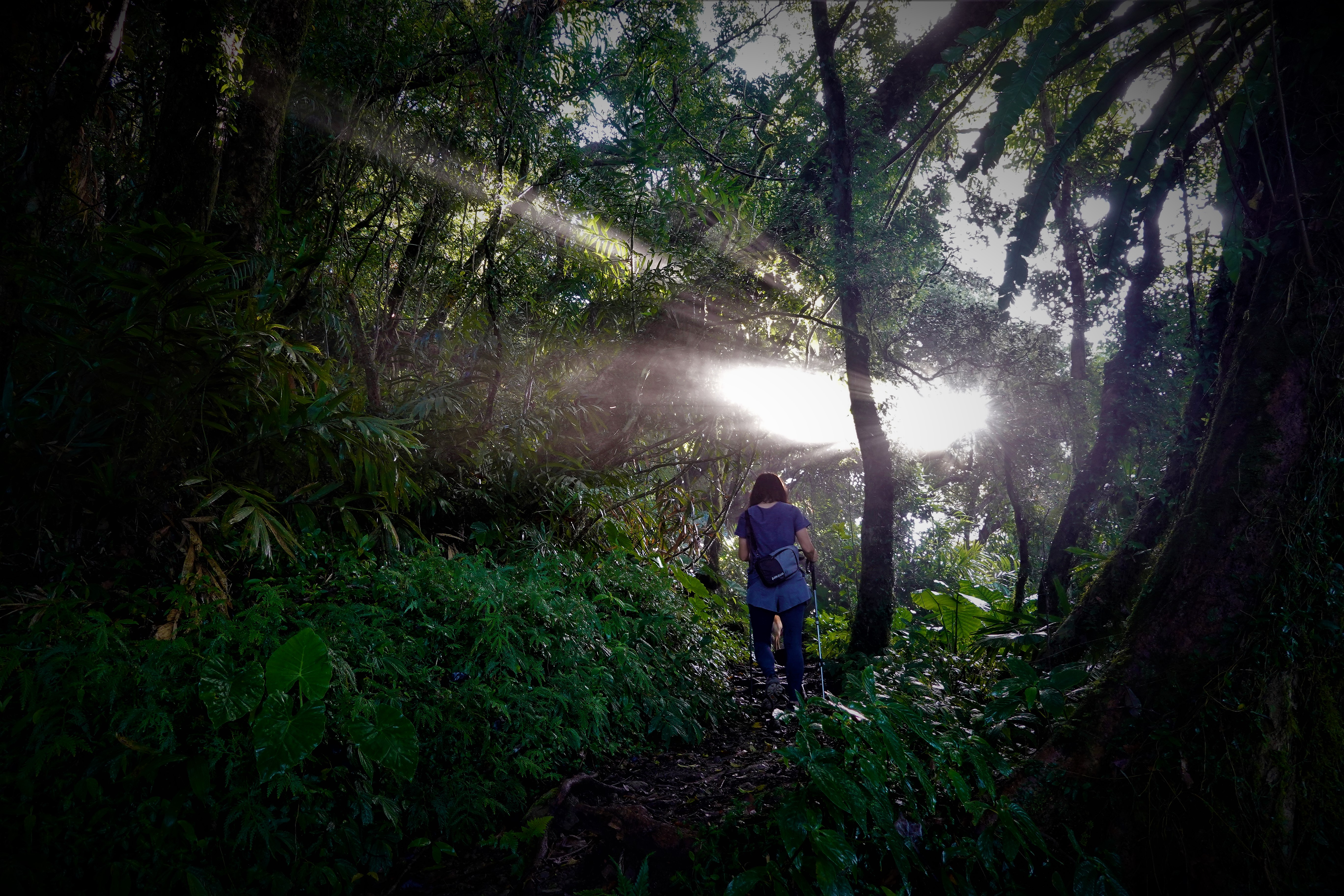 20221129@都蘭山(小百岳#093)