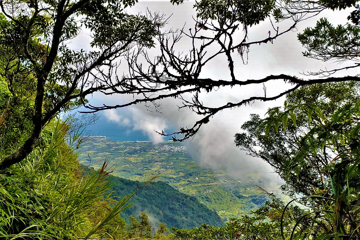 20221129@都蘭山(小百岳#093)