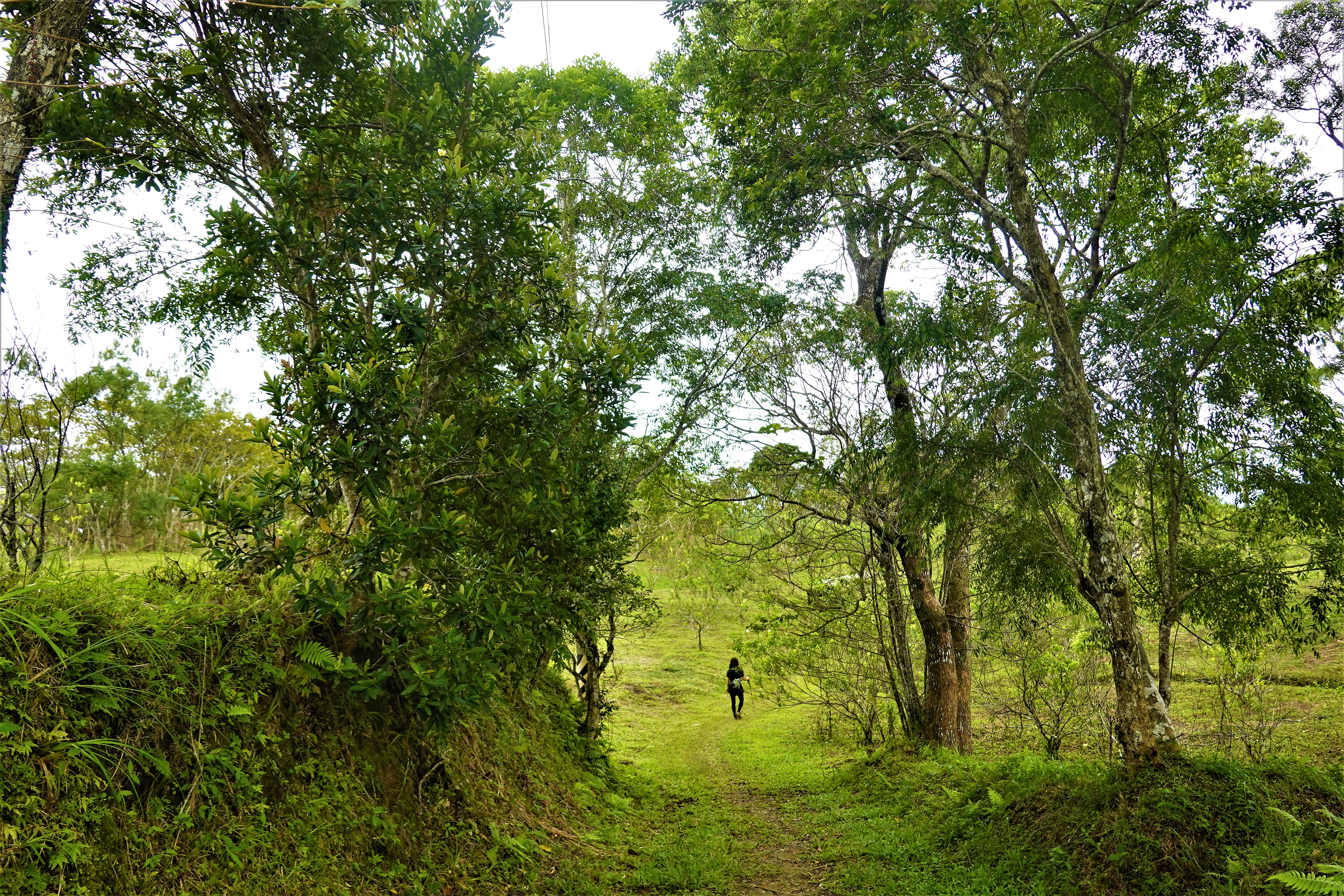 20221130@月眉山(小百岳#090)