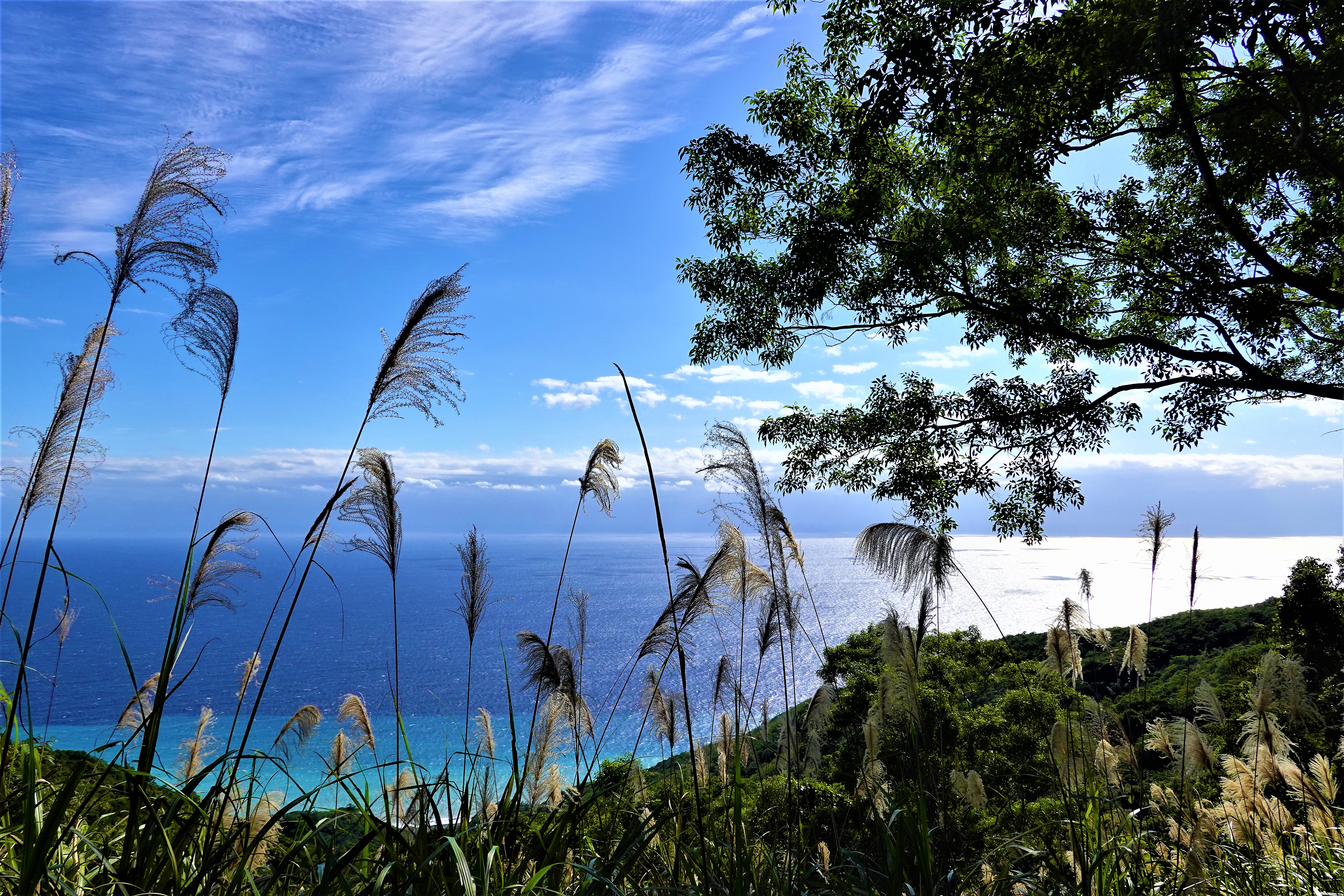 20221219@加奈美山(小百岳#095)