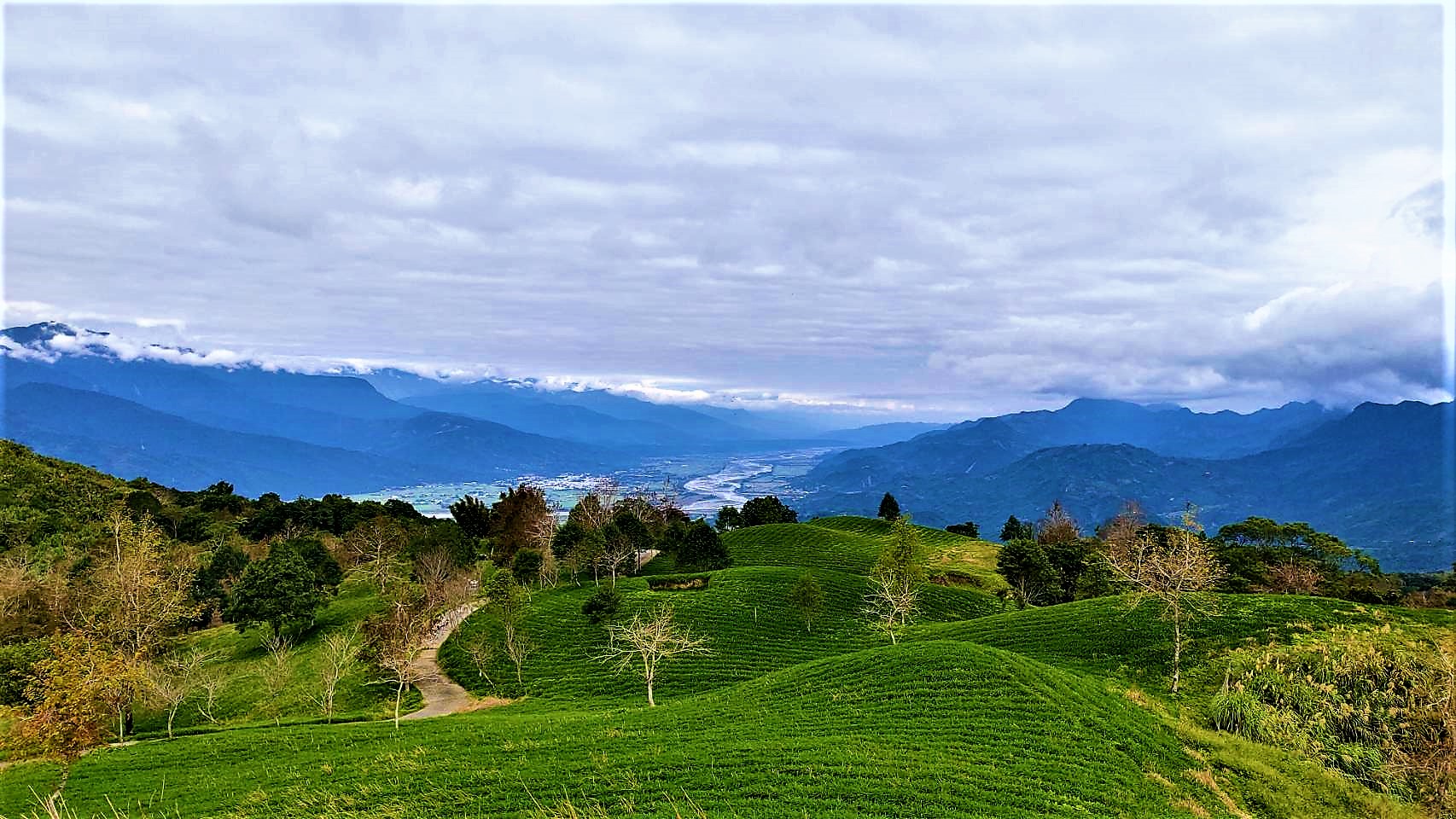 20221220@萬人山(小百岳#092)