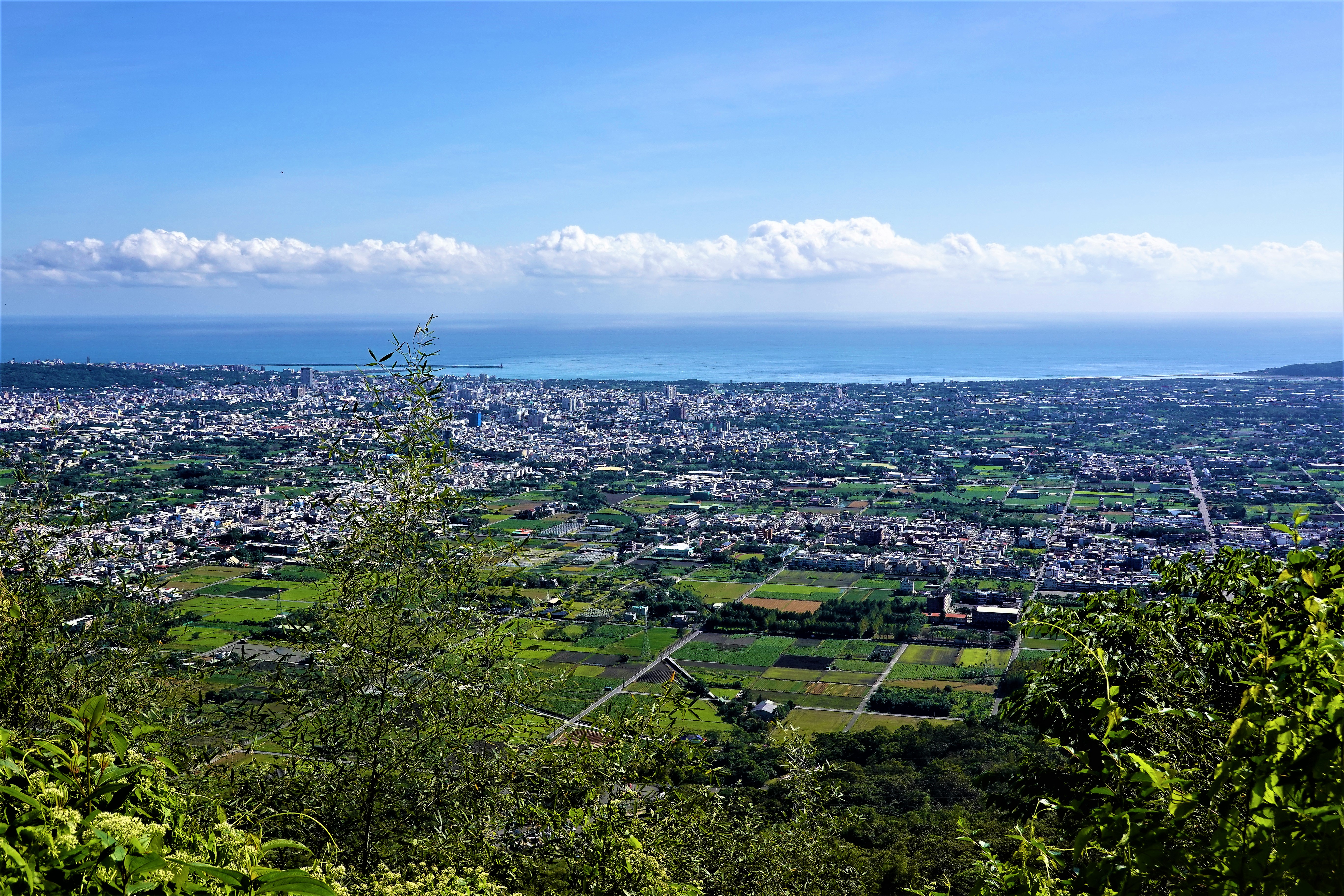 20221221@初音山(小百岳#088)